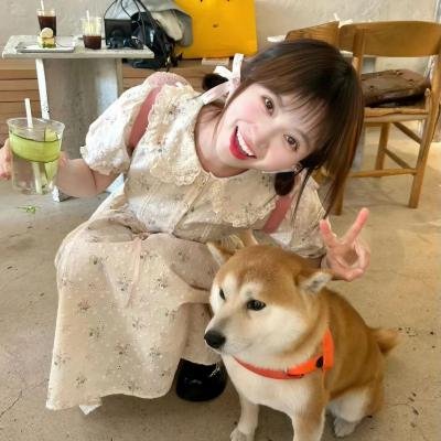 蠢蛋搞怪到永远